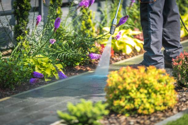 Best Gutter Cleaning  in Clay City, IN