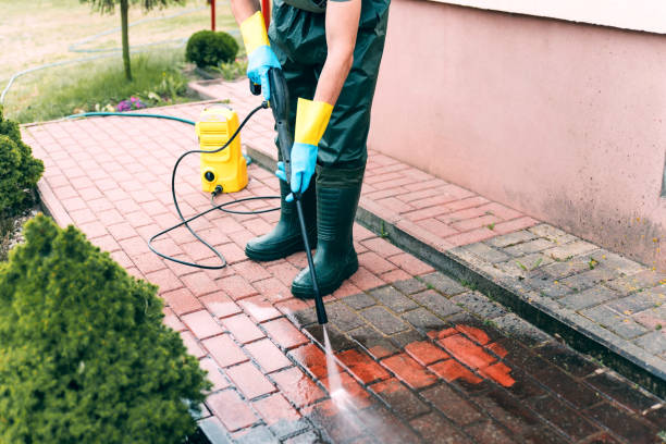Best Roof Washing  in Clay City, IN