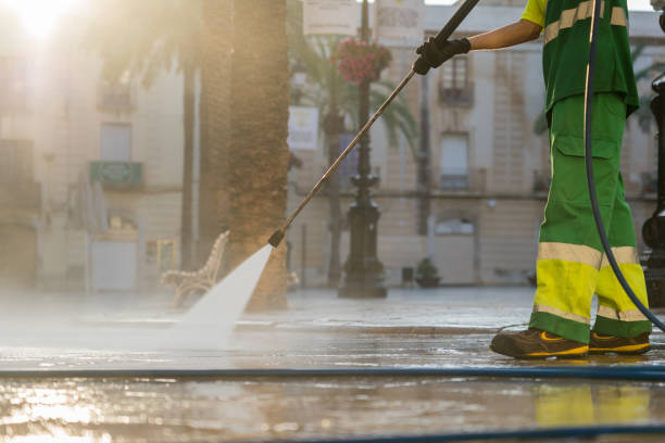 Best Solar Panel Cleaning  in Clay City, IN